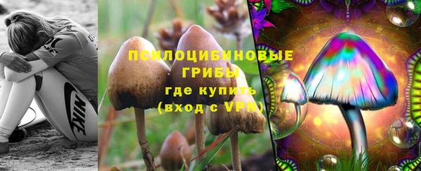 прущие крисы Няндома