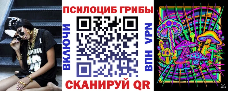 Купить закладки  Дно  Псилоцибиновые грибы прущие грибы 